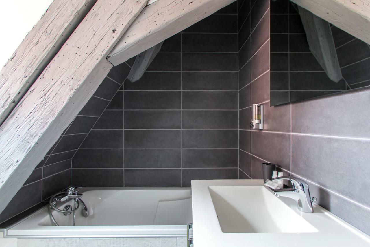 Cour De La Cigogne Appartement Colmar